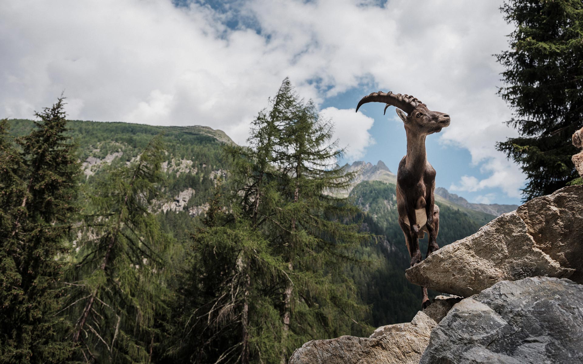 Naturquell Ferienwohnungen im Pitztal